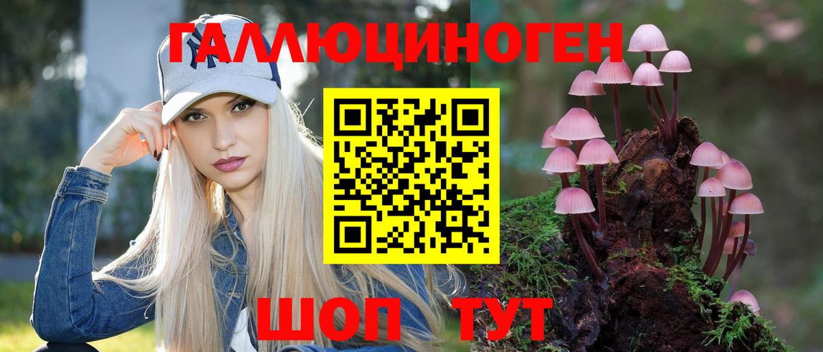 Галлюциногенные грибы Psilocybine cubensis Волхов